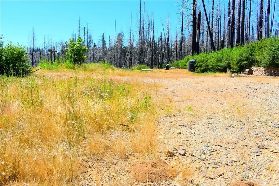 461 Milsap Bar, Berry Creek, CA 95916 - #2