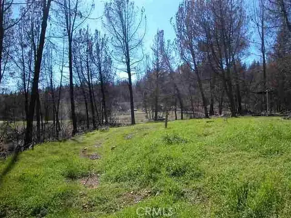 0 Buchner, Berry Creek, CA 95916