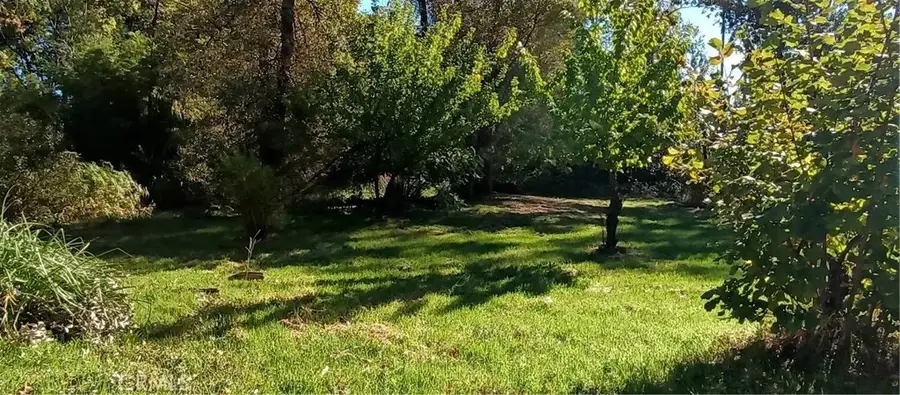 867 Buschmann, Paradise, CA 95969 - #2