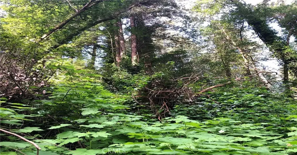 18176 Hwy 116, Guerneville, CA 95446 - Image #1