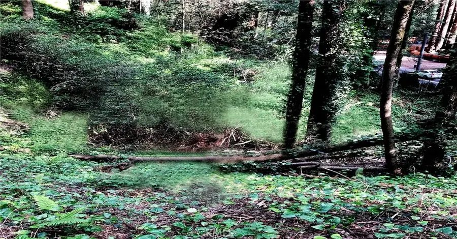 18176 Hwy 116, Guerneville, CA 95446 - Image #2