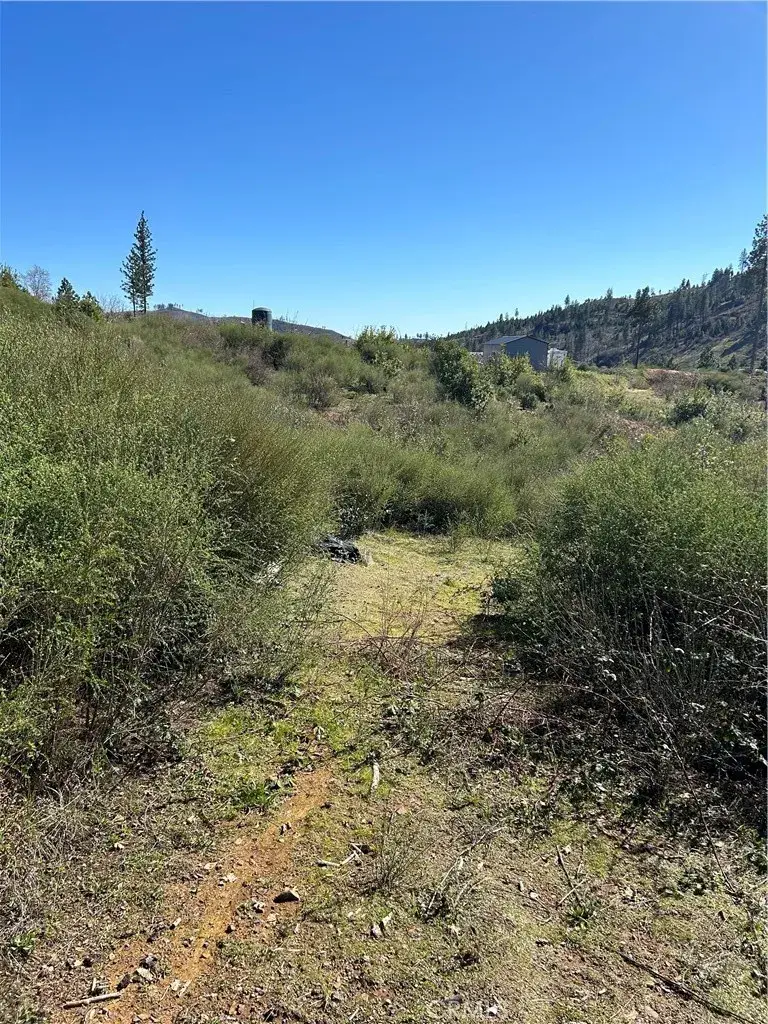 1234 Hog Ranch Rd, Oroville, CA 95965 - Image #3