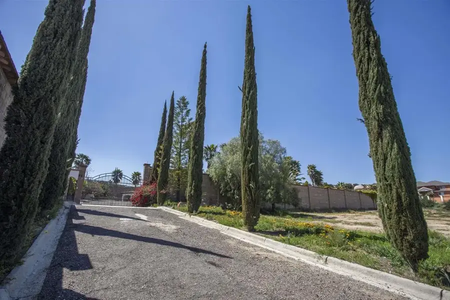 25 Paralelo 28, O Neals, CA 21447 - Image #3