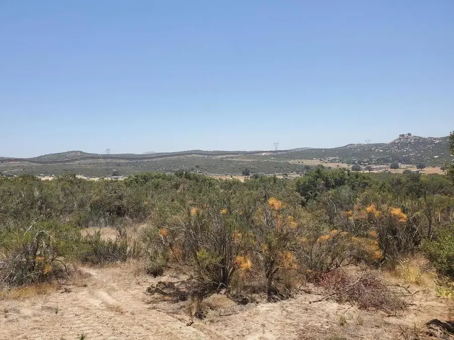 20 Buckman Springs, Campo, CA 91906 - #2