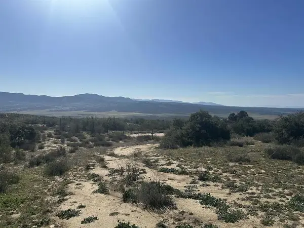 40368 Elm Brush, Anza, CA 92539