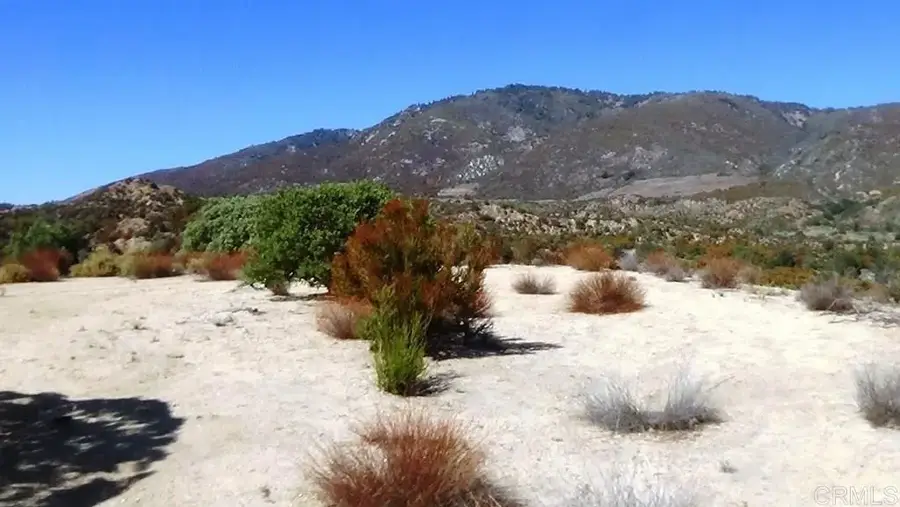 37245 Old Forest, Anza, CA 92539 - #2