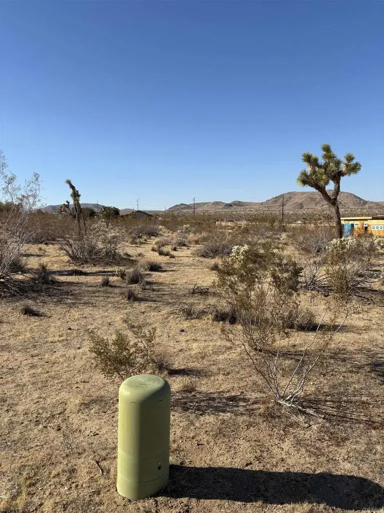 0 Division, Joshua Tree, CA 92252 - #2