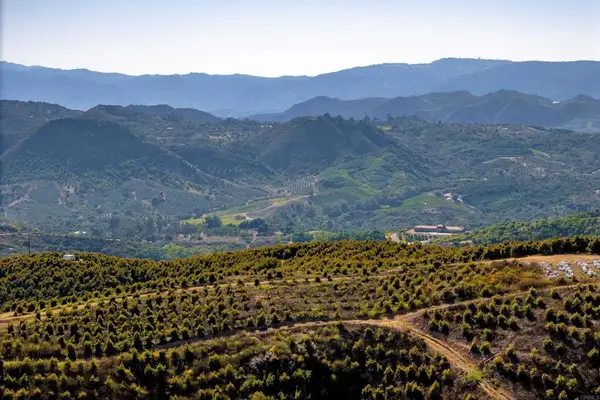 45000 Rancho Fallbrook, Temecula, CA 92590