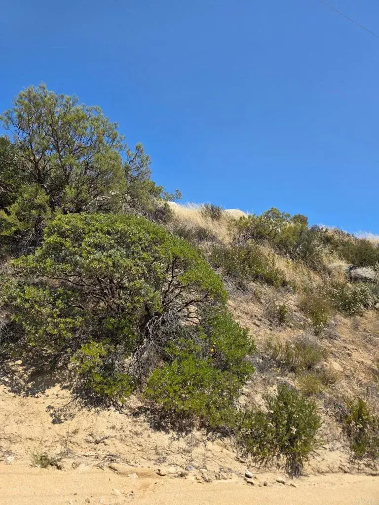 789 Crazy Horse Canyon, Aguanga, CA 92536 - #2