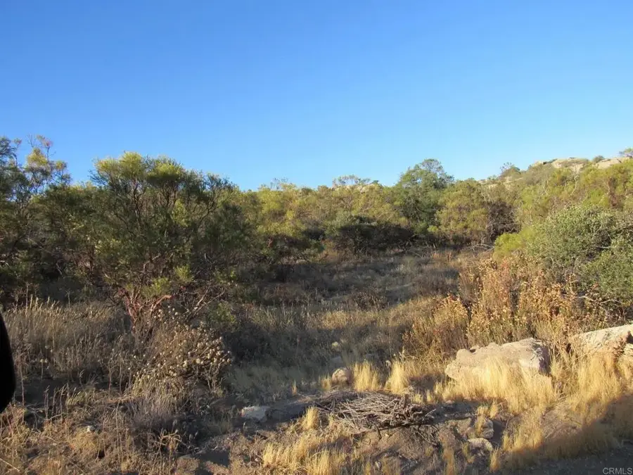 36 Leoney, Jamul, CA 91935 - #2
