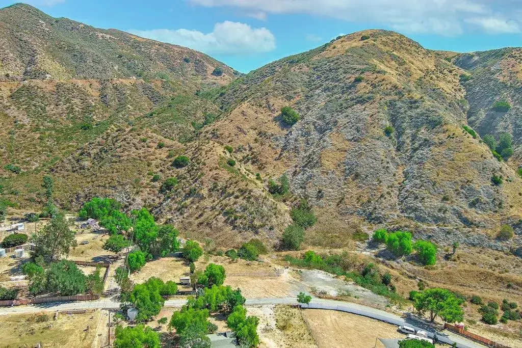 13912 N Mesa Alta, Kagel Canyon, CA 91342 - #1