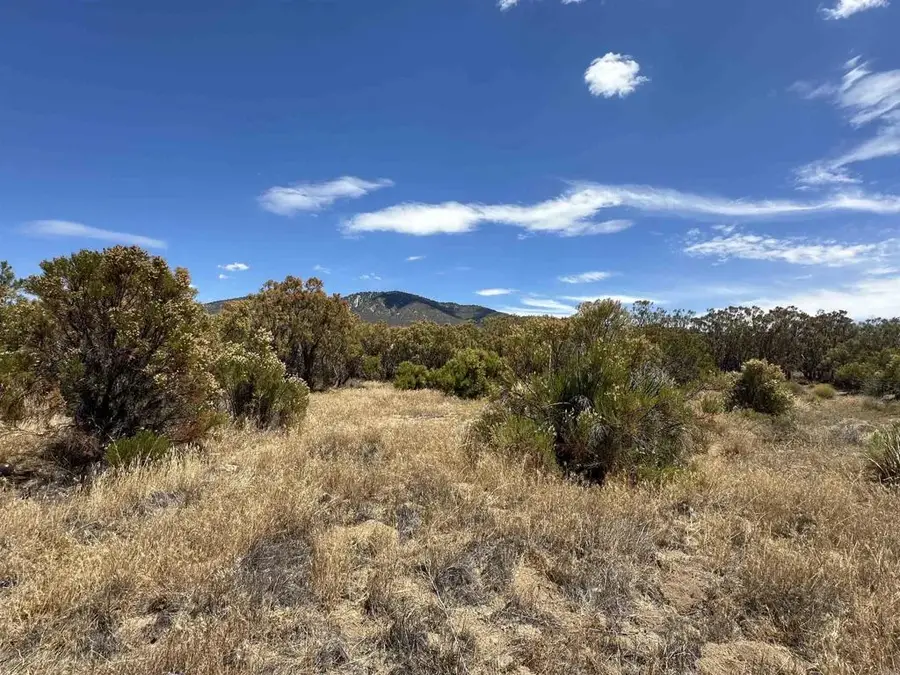 54174 Mdw Vly, Anza, CA 92539 - #2