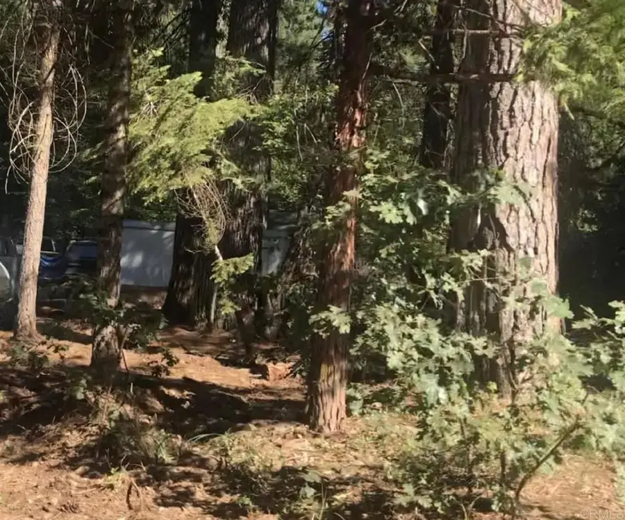 1517 Maple, Arnold, CA 95223 - #2