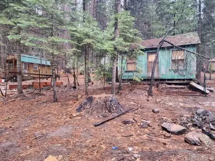 1517 Maple, Arnold, CA 95223 - #3
