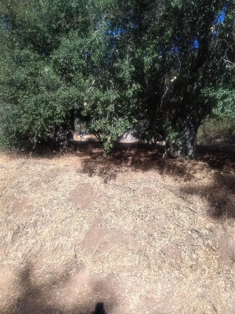 0 Valley View, Pine Valley, CA 91962 - #1