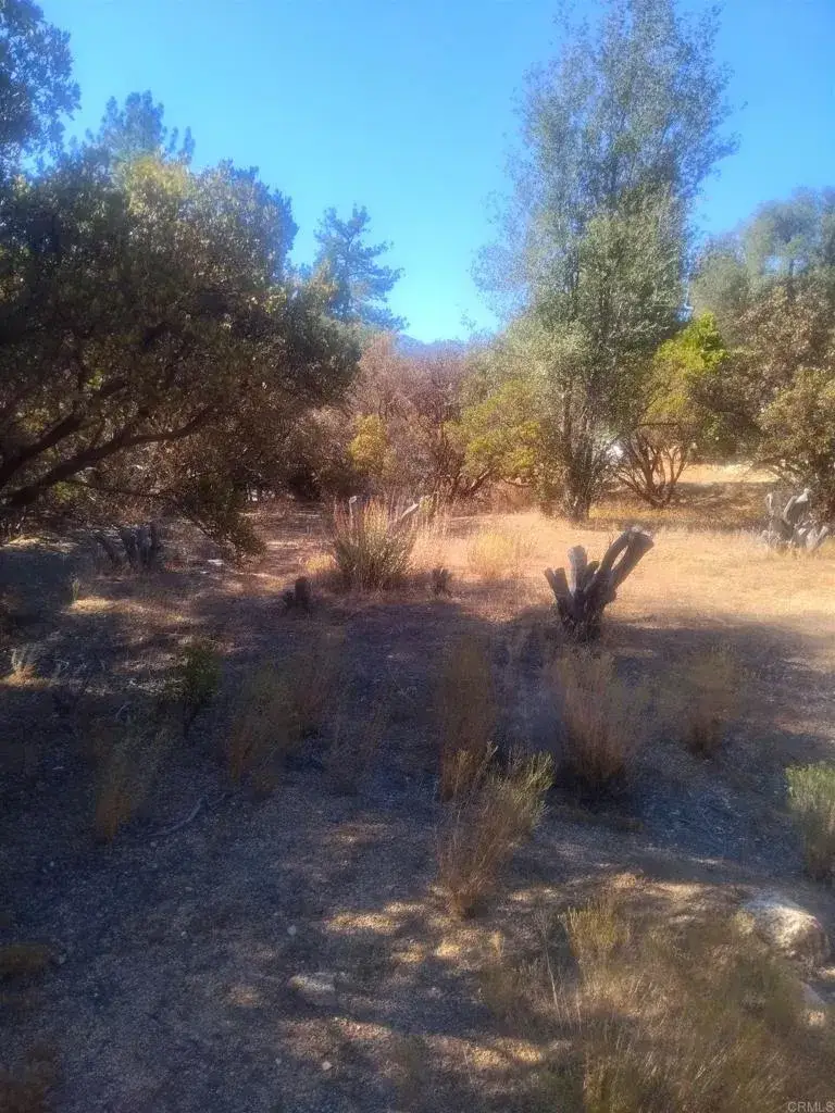 0 Valley View, Pine Valley, CA 91962 - #3