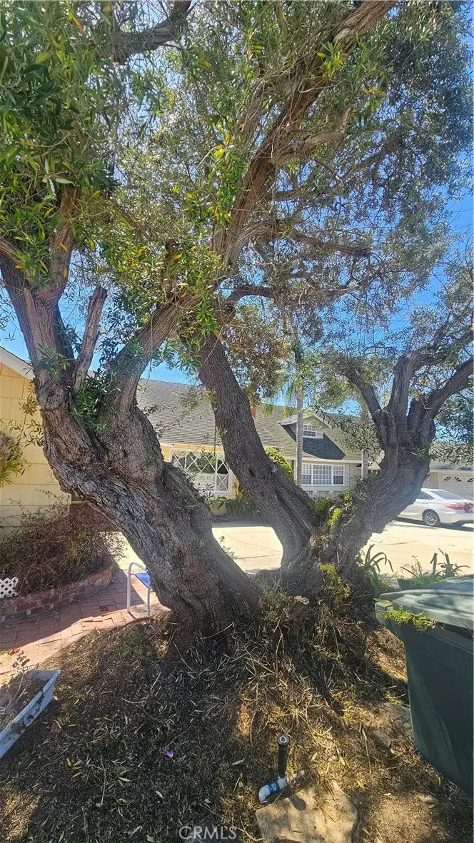 2446 W. 229th Place, Torrance, CA 90501 - #3