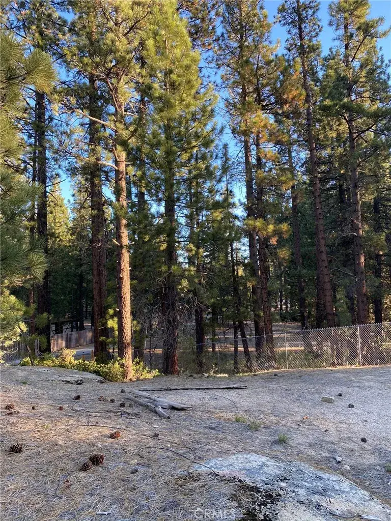 0 Cienega Road, Big Bear, CA 92315 - Image #2