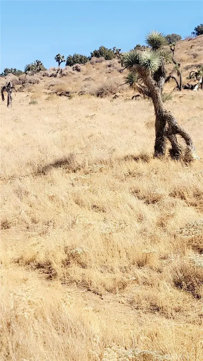 0 W 40th, Lancaster, CA 93534 - Image #1