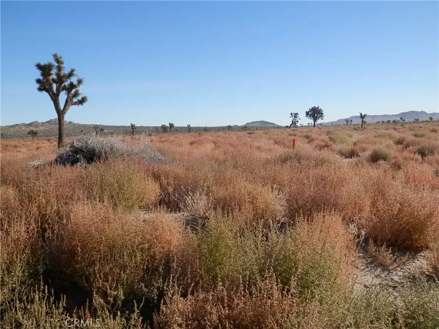 0 110 St. E + Ave O12, Palmdale, CA 93591 - Image #2