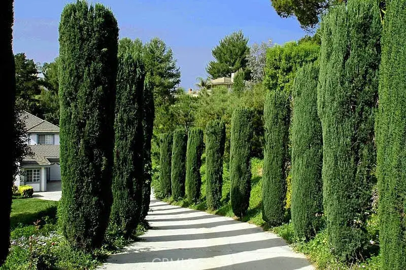 1525 Bonnie Jean Lane, La Habra, CA 90631 - Image #3