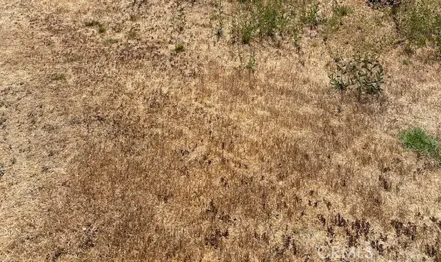 0 ., Winterhaven, CA 92283 - Image #1