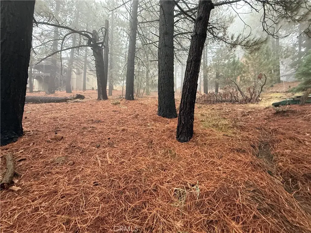 0 Poplar, Running Springs, CA 92382 - Image #1