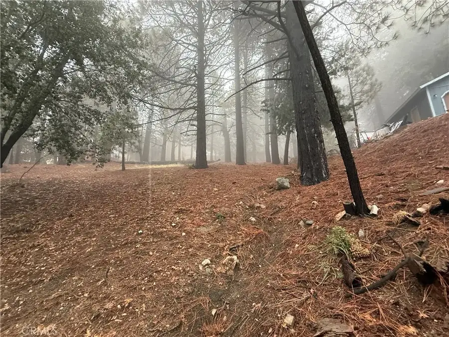 0 Poplar, Running Springs, CA 92382 - Image #2