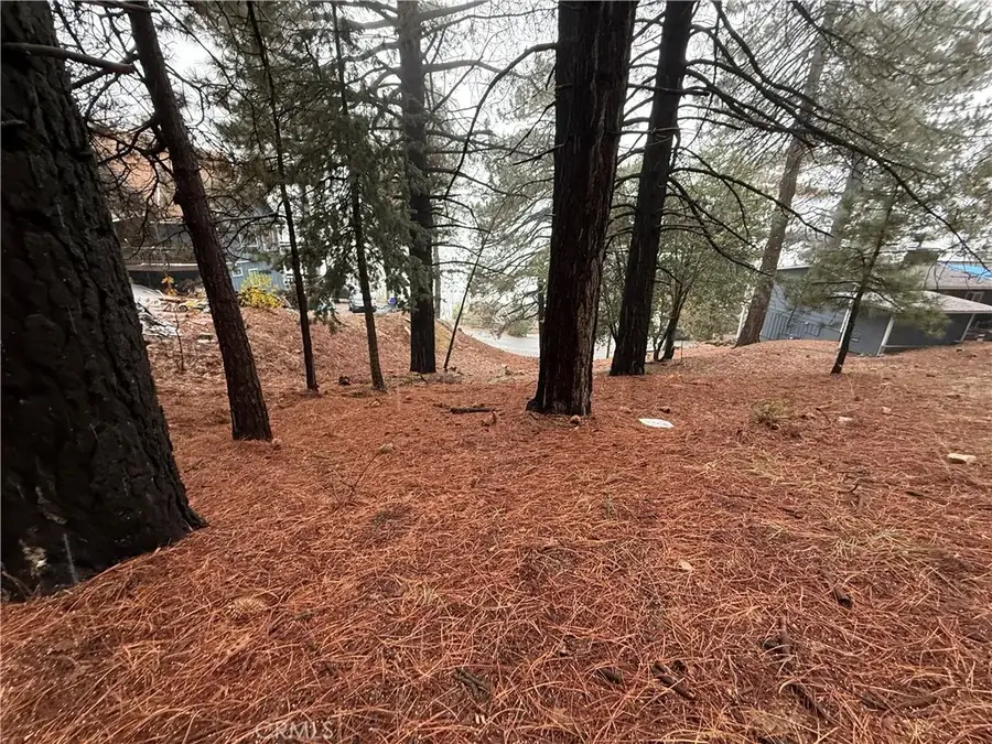 0 Poplar, Running Springs, CA 92382 - Image #3