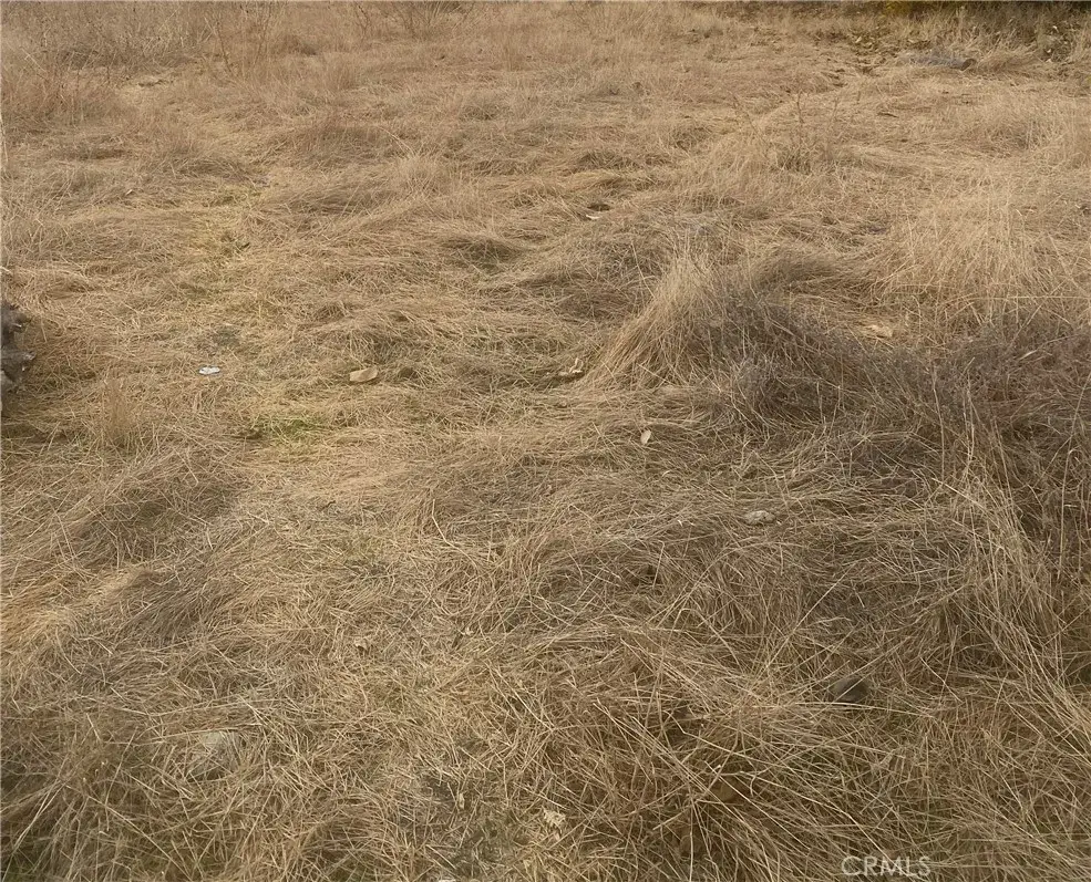 0 Vac/vic, Llano, CA 93544 - Image #1