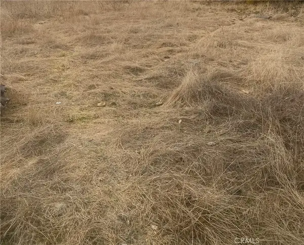 0 Vac/vic, Llano, CA 93544