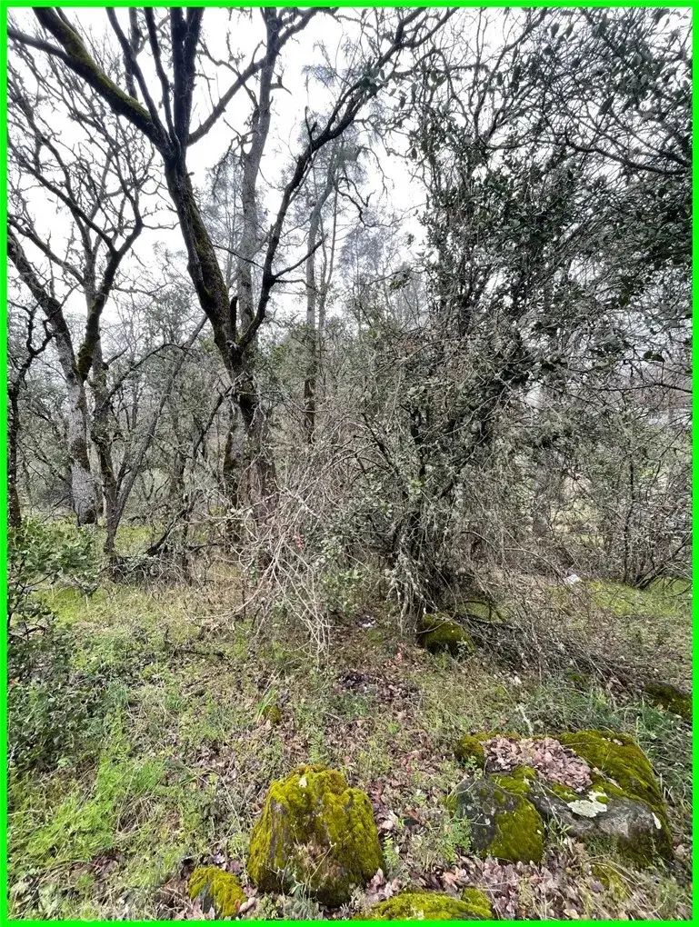 15652 Highland, Clearlake, CA 95422 - #3