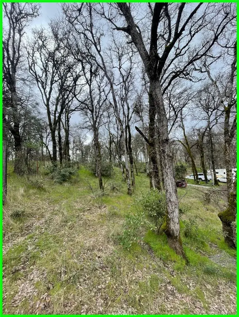 15365 Mason, Clearlake, CA 95422 - #2