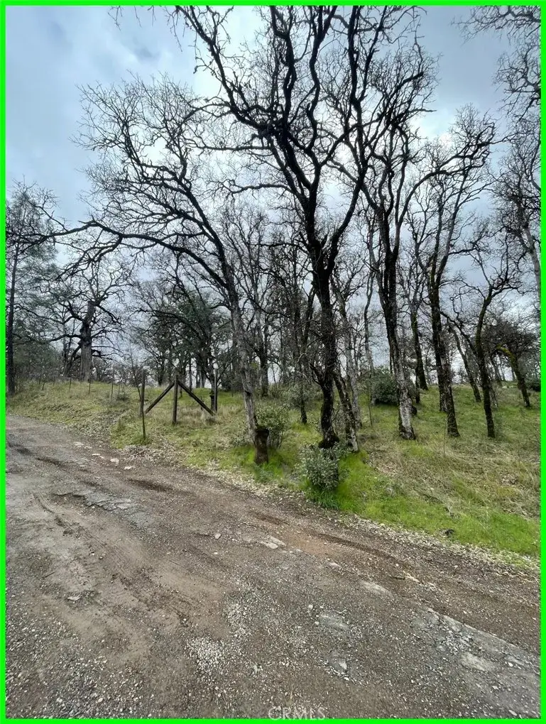 15365 Mason, Clearlake, CA 95422 - #3