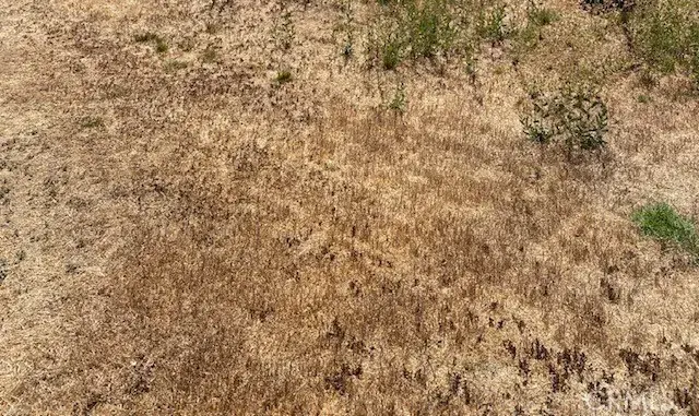 0 Walnut, Hesperia, CA 92345 - Image #1