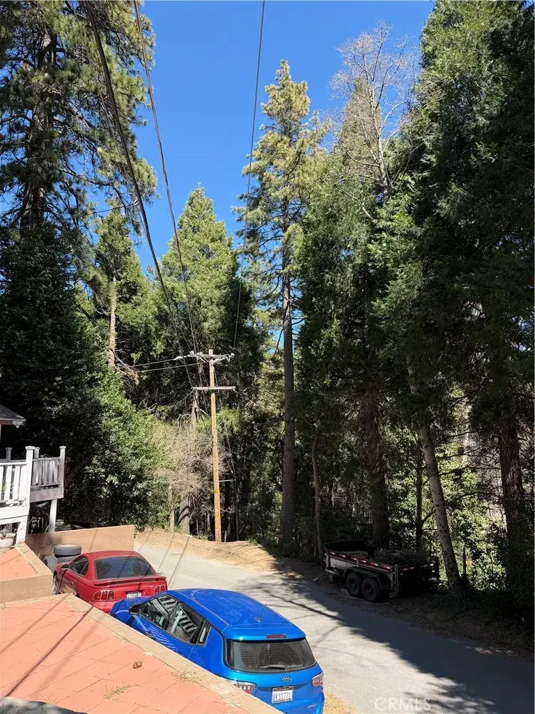 23144 Balsam Lane, Crestline, CA 92325 - #3