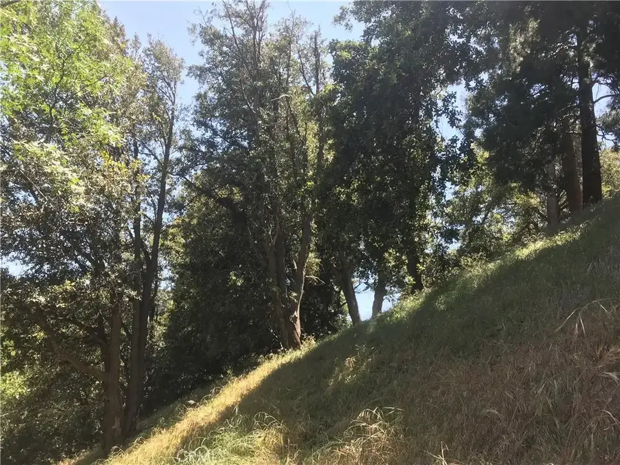 0 Buck, Cedarpines Park, CA 92322 - #2