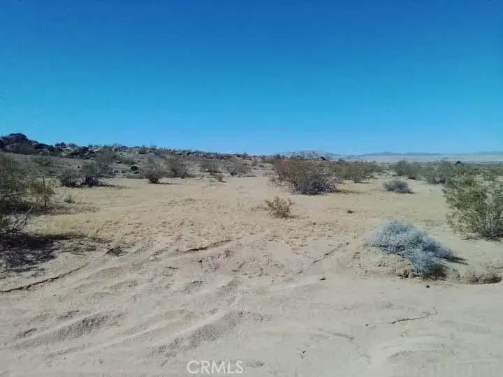 60784 Summers, Landers, CA 92285 - #2
