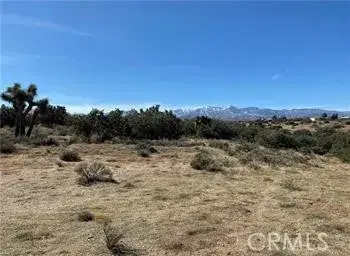 0 Atsina, Phelan, CA 92371 - #1