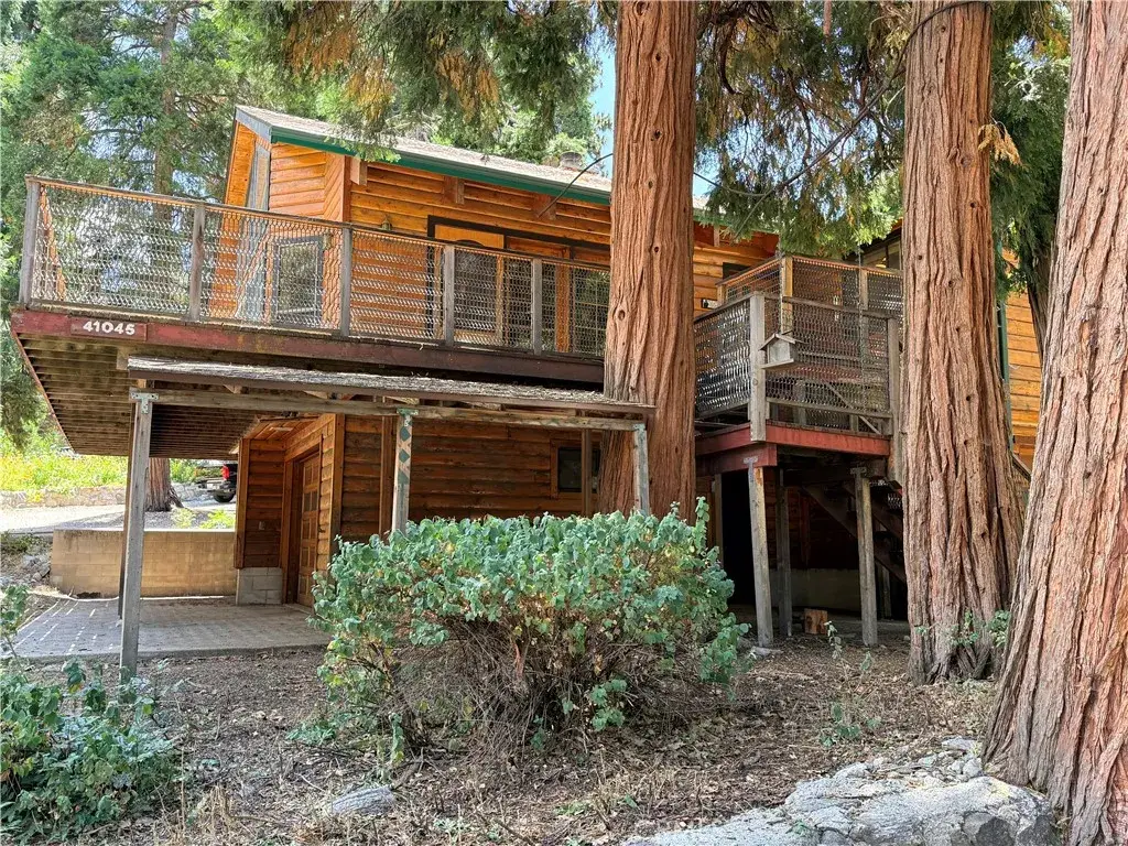 41045 Valley Of The Falls, Forest Falls, CA 92339 - #1