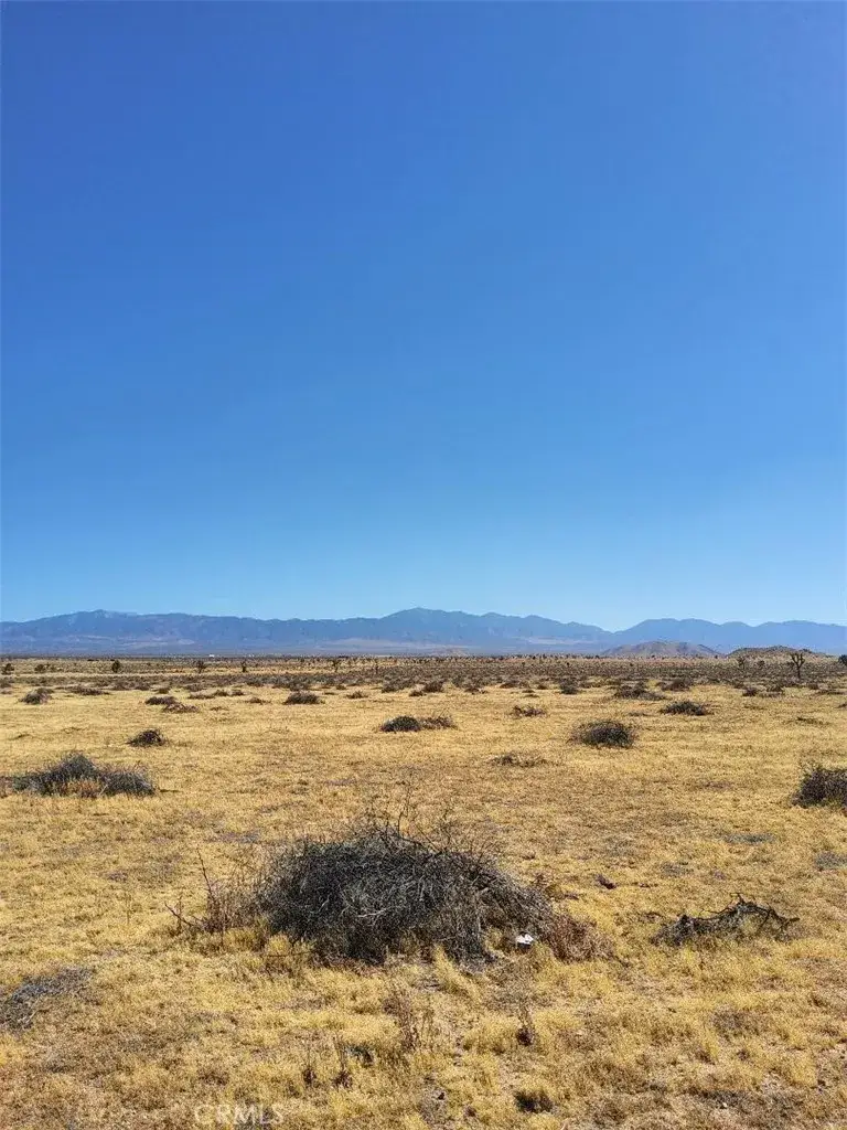 255 W Avenue N, Palmdale, CA 93551 - #2
