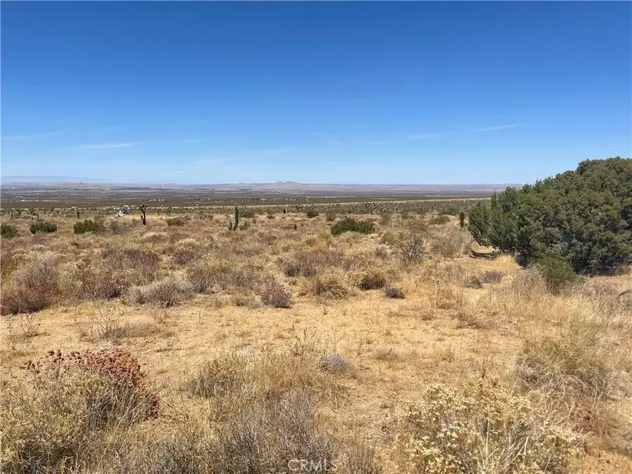 0 Vac Fort Tejon Drt Vic, Llano, CA 93544 - #2