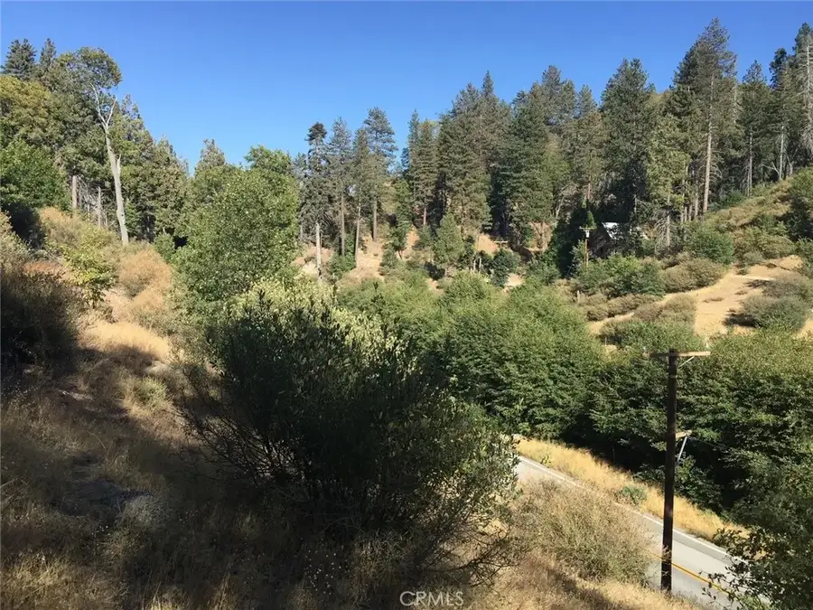 29749 Redwood, Cedar Glen, CA 92321 - #3