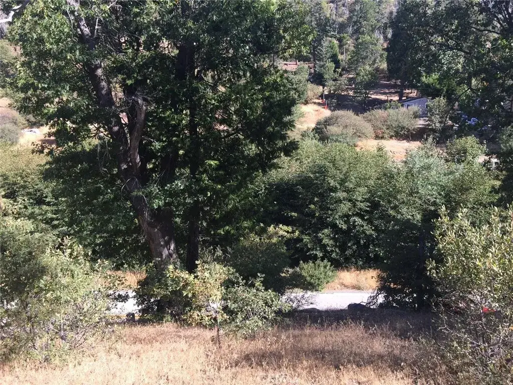 29751 Redwood, Cedar Glen, CA 92321 - #1