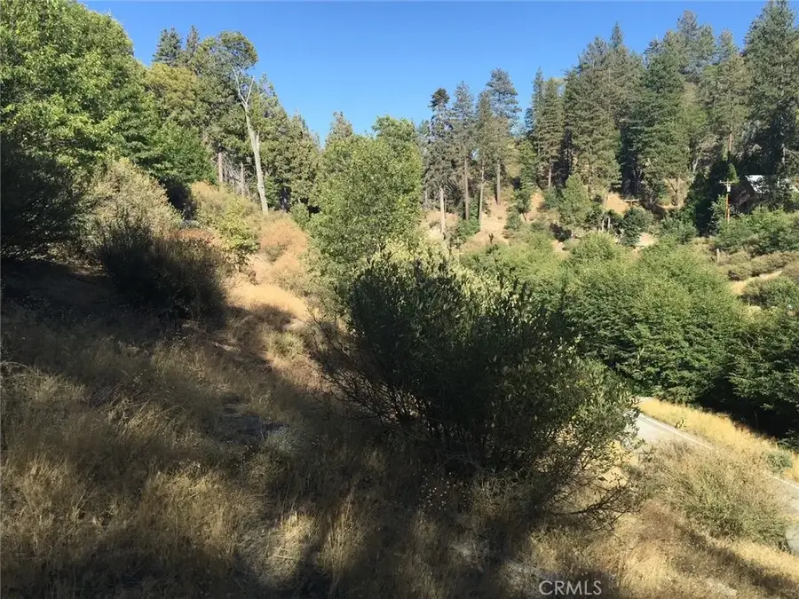 29751 Redwood, Cedar Glen, CA 92321 - #2