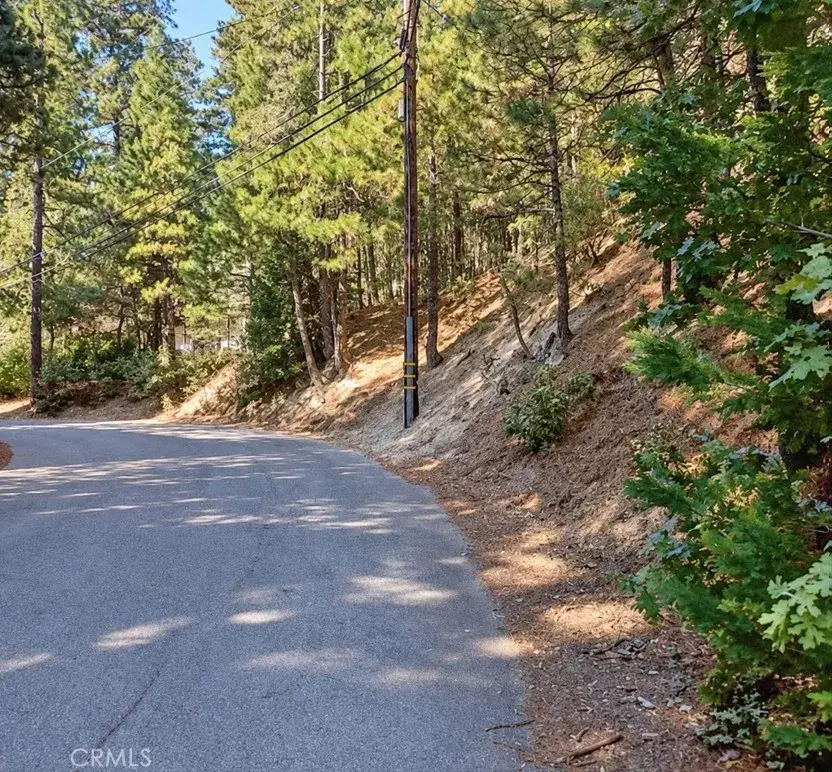 131 Golf Course, Lake Arrowhead, CA 92352 - #2
