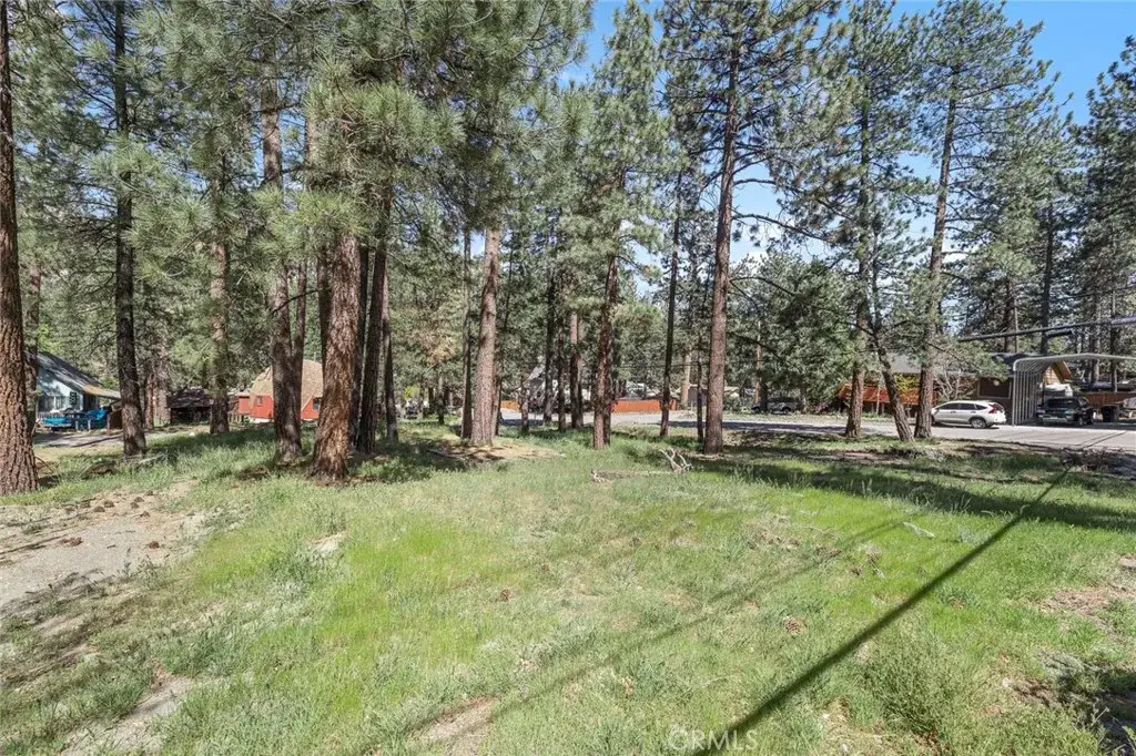 1179 Edna, Wrightwood, CA 92397 - #1