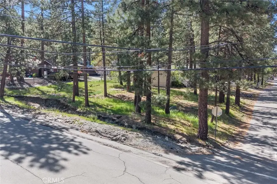 1179 Edna, Wrightwood, CA 92397 - #2