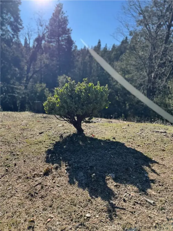 29373 Pine, Cedar Glen, CA 92321