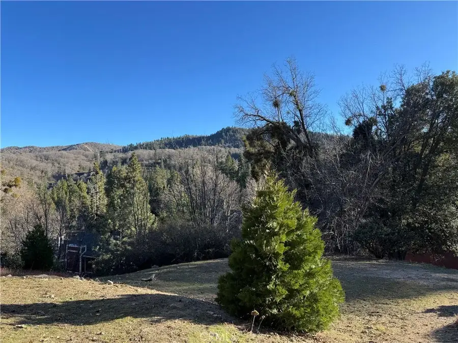 29373 Pine, Cedar Glen, CA 92321 - Image #2